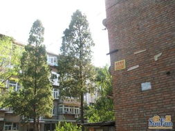 黄山里小区租房,一室一厅,河北江都路黄山里 29平米中等装修1室1厅1卫,天津河北江都路租房