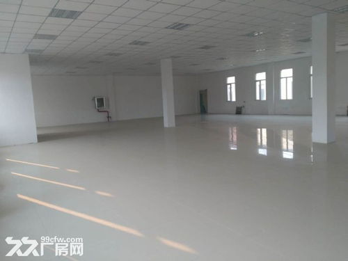 带装修厂房3003000平出租适合食品,医疗,电子等等企业使用